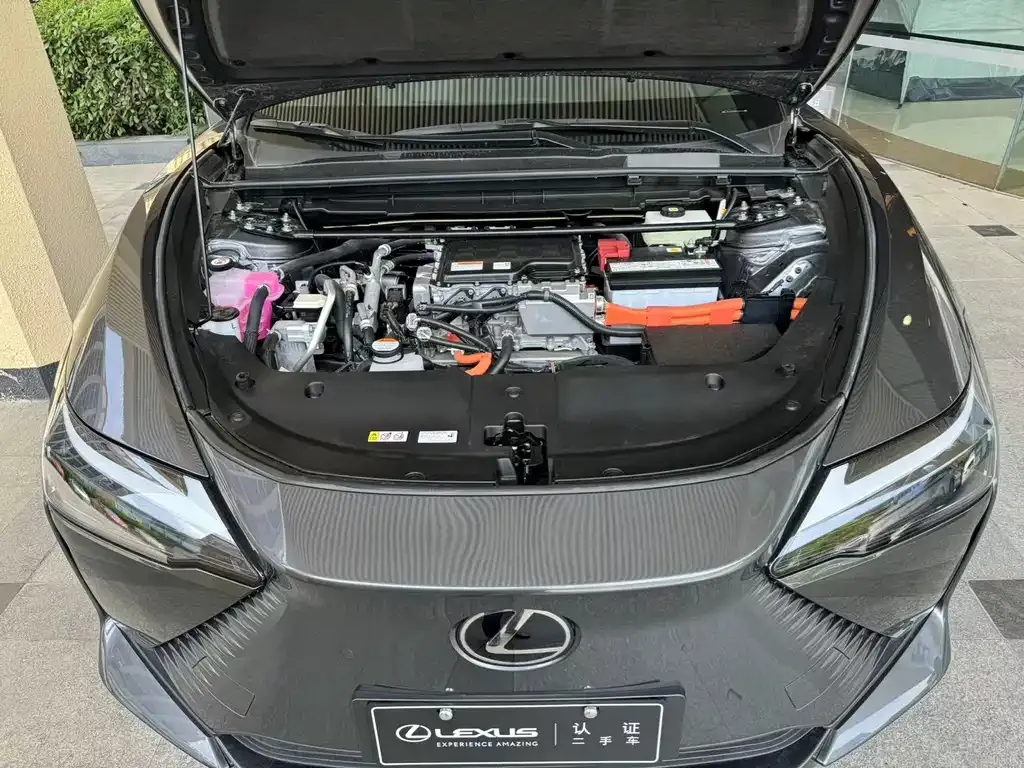 Lexus RZ — фото 4