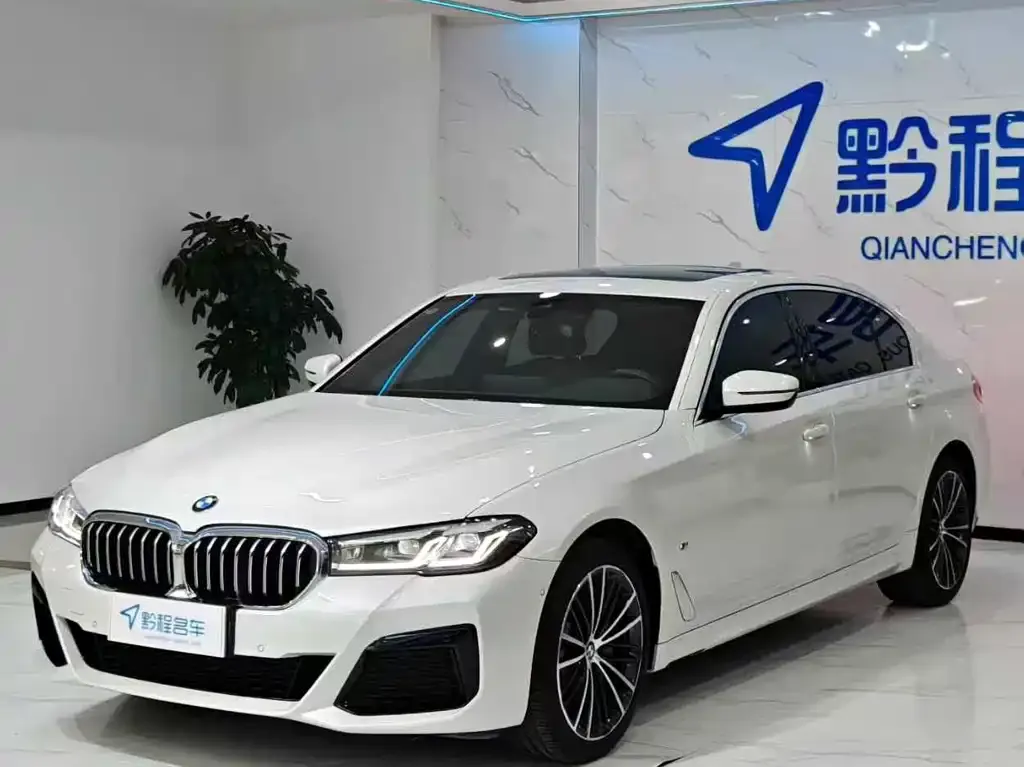 BMW 5 Series 2023 из CN, фото 1