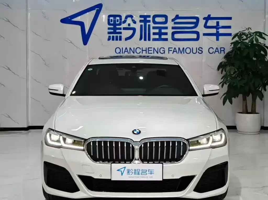 BMW 5 Series 2023 из CN, фото 2