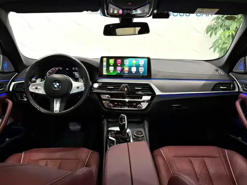 BMW 5 Series 2023 из CN, фото 5