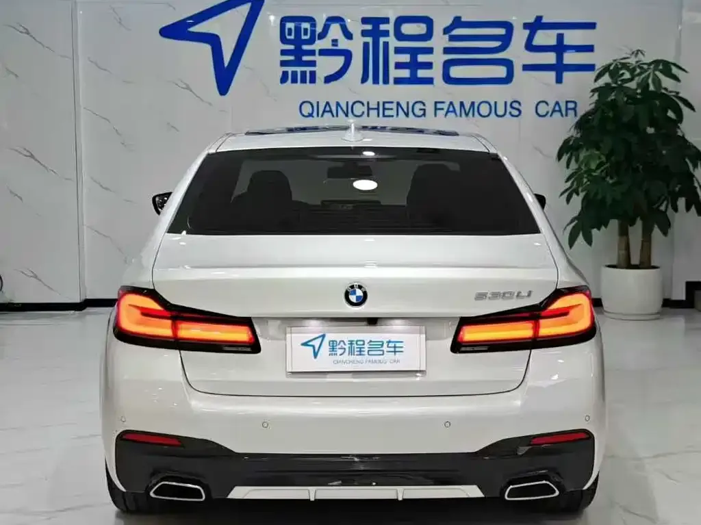 BMW 5 Series 2023 из CN, фото 8
