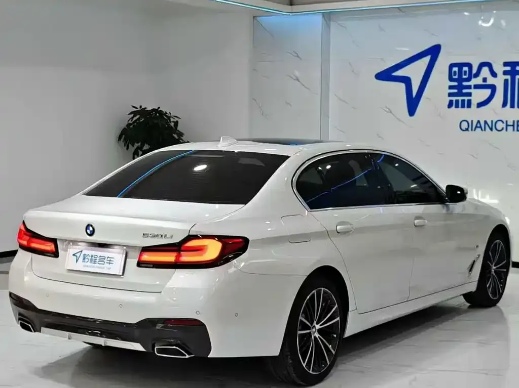 BMW 5 Series 2023 из CN, фото 9