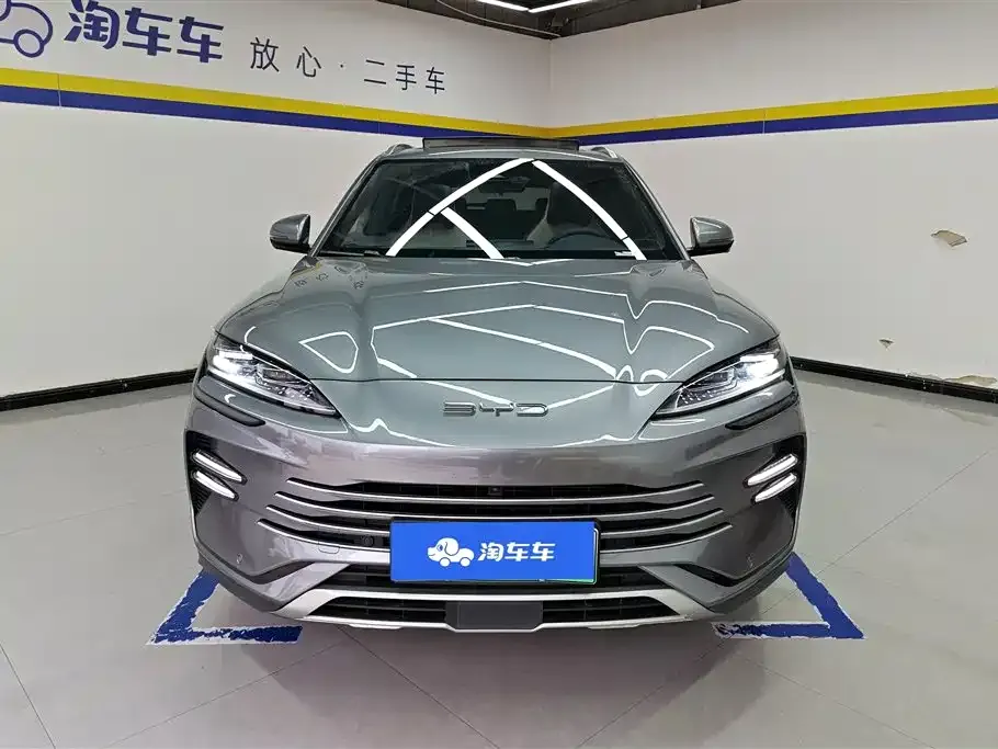BYD PLUS New Energy 2024 из CN, фото 2