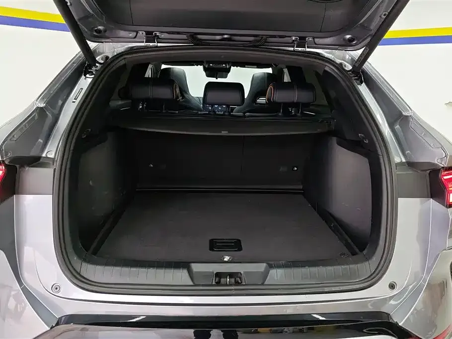 BYD PLUS New Energy 2024 из CN, фото 4
