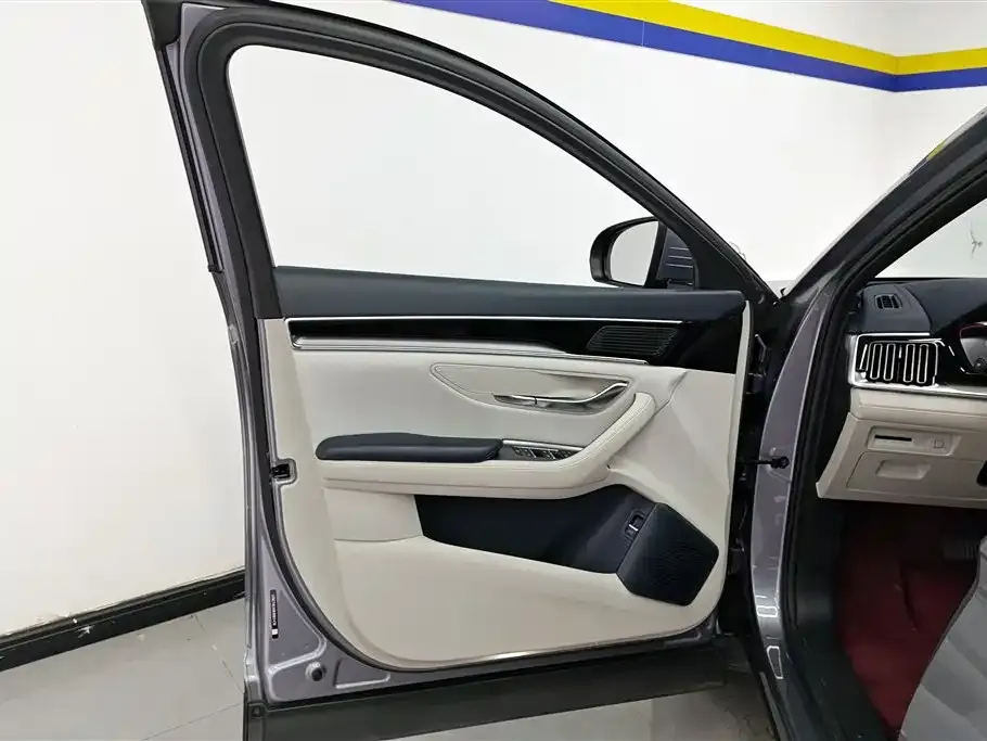 BYD PLUS New Energy 2024 из CN, фото 7