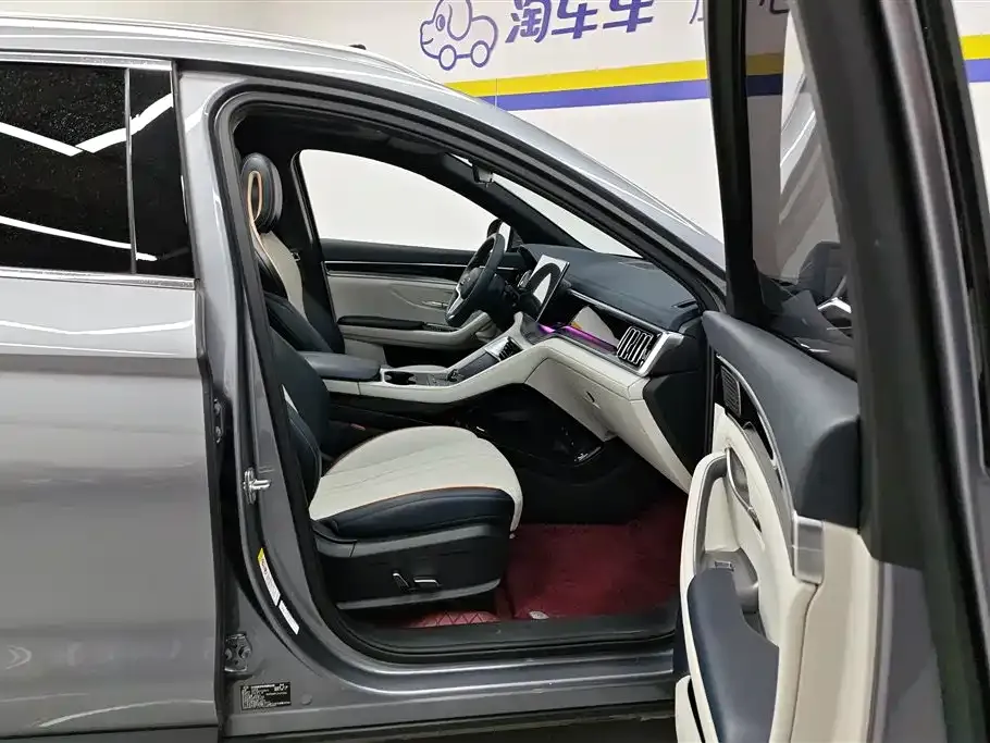 BYD PLUS New Energy 2024 из CN, фото 8