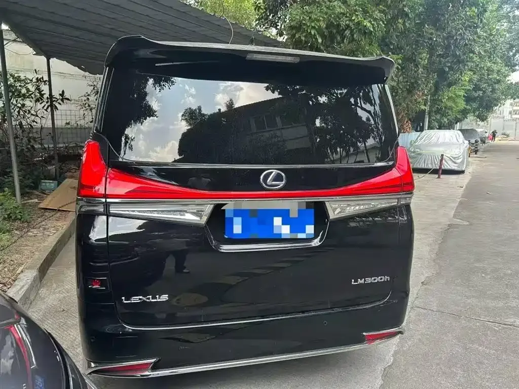 Lexus LM 2022 из CN, фото 4