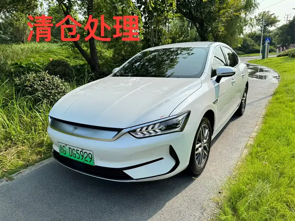 BYD Qin PLUS 2024 из CN, фото 1