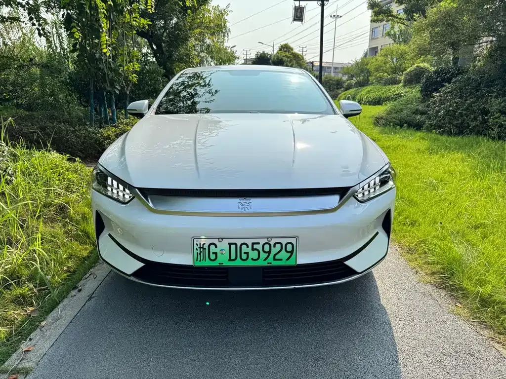 BYD Qin PLUS 2024 из CN, фото 2
