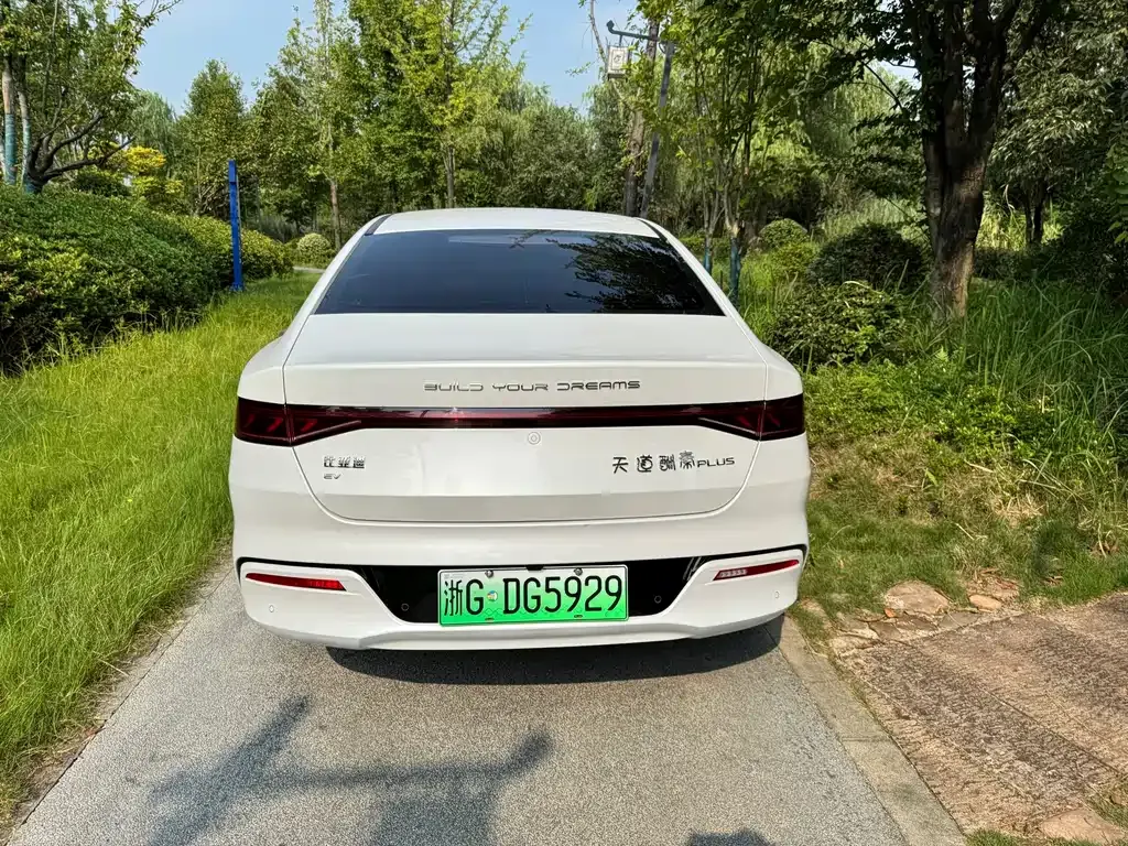 BYD Qin PLUS 2024 из CN, фото 4