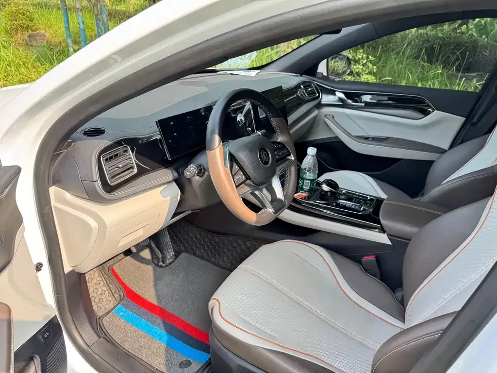 BYD Qin PLUS 2024 из CN, фото 6