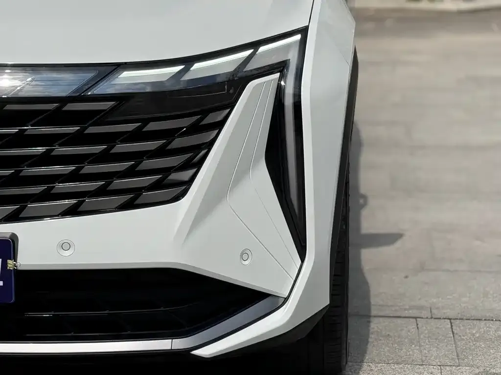 [object Object] Boyue L 2023 из CN, фото 4