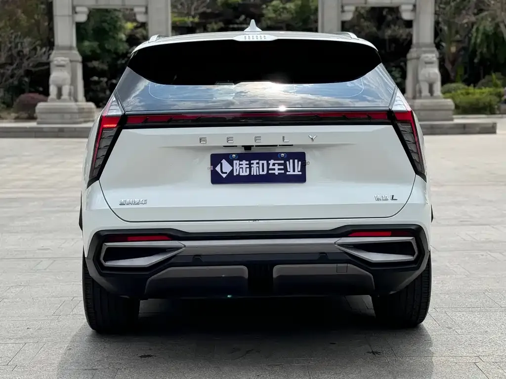 [object Object] Boyue L 2023 из CN, фото 5