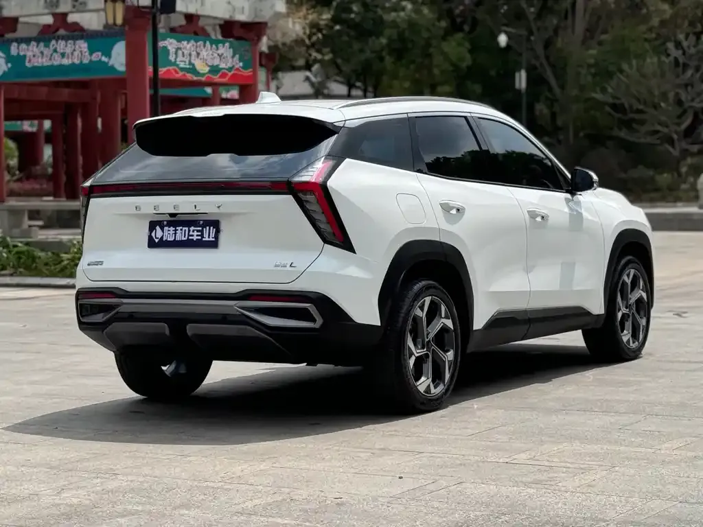 [object Object] Boyue L 2023 из CN, фото 6