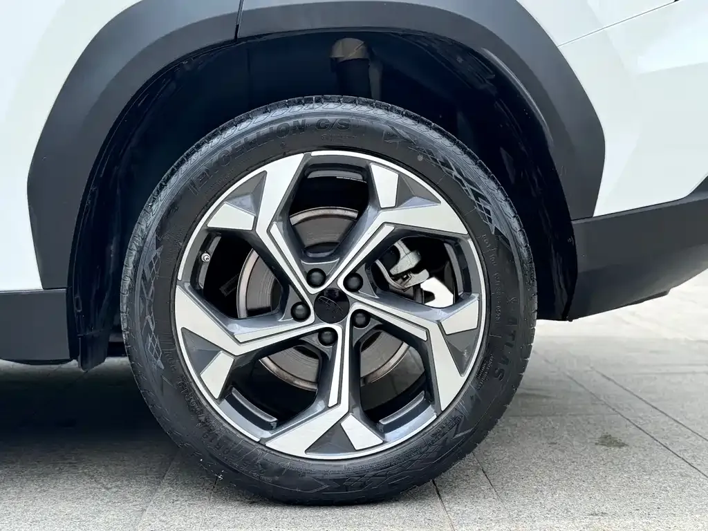 [object Object] Boyue L 2023 из CN, фото 8