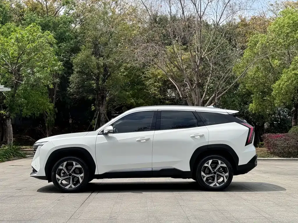 [object Object] Boyue L 2023 из CN, фото 9