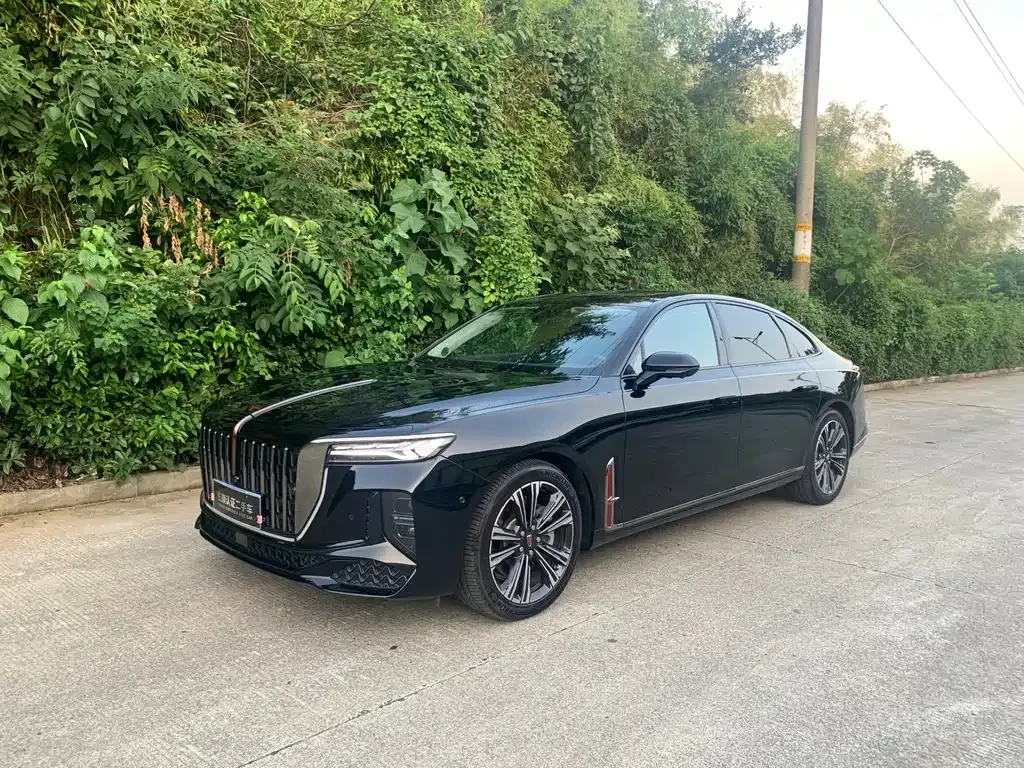 Hongqi H9 2024 из CN, фото 1