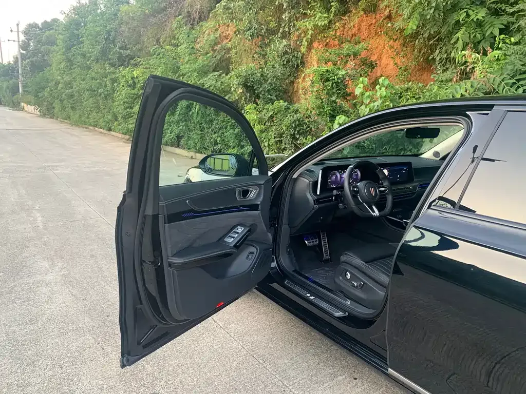 Hongqi H9 2024 из CN, фото 10
