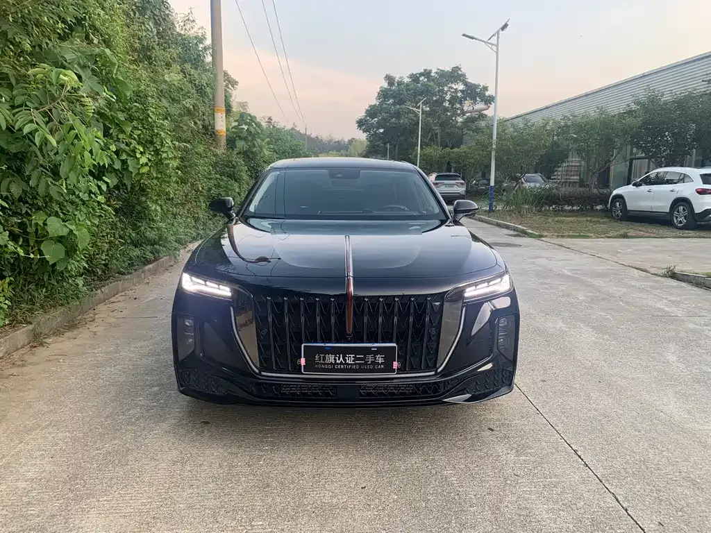 Hongqi H9 2024 из CN, фото 2