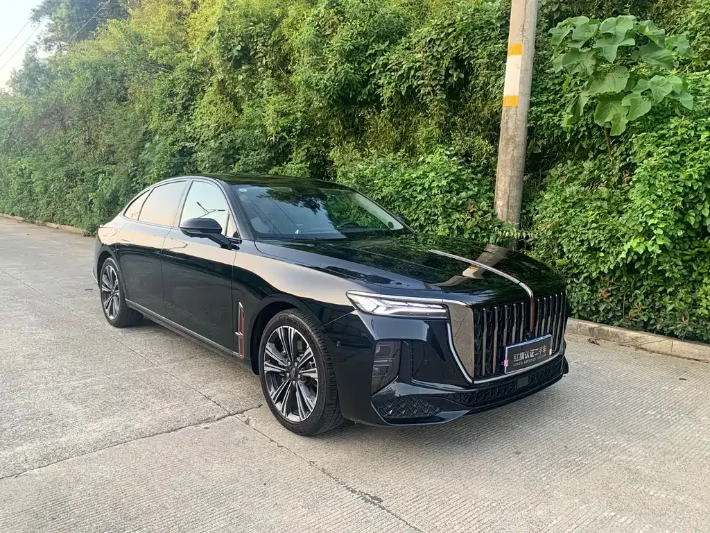 Hongqi H9 2024 из CN, фото 3