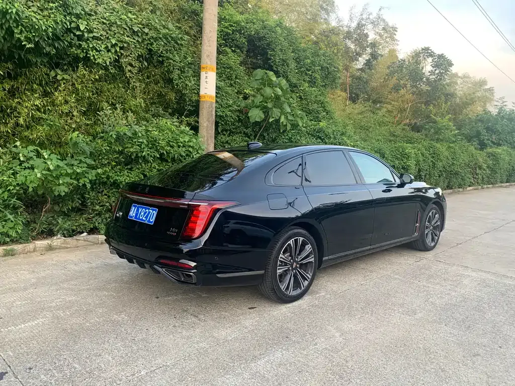 Hongqi H9 2024 из CN, фото 6