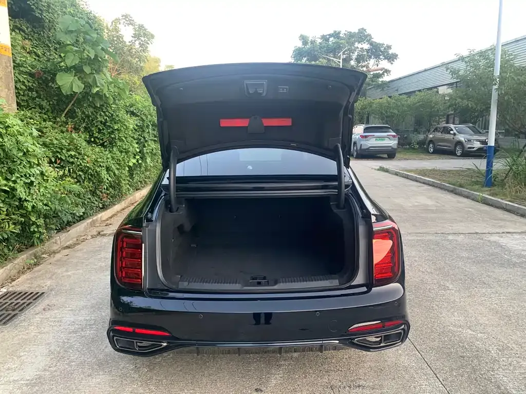 Hongqi H9 2024 из CN, фото 7