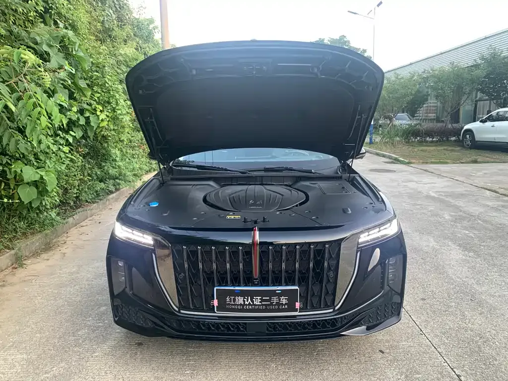 Hongqi H9 2024 из CN, фото 9