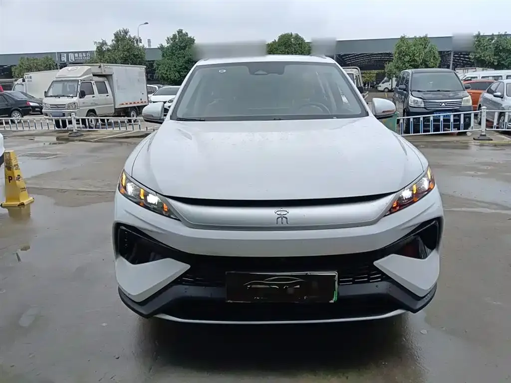 BYD Pro New Energy 2024 из CN, фото 3