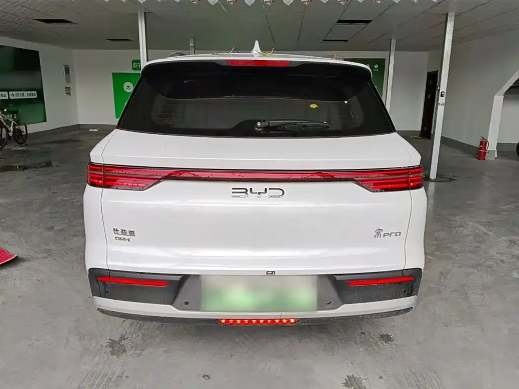 BYD Pro New Energy 2024 из CN, фото 6