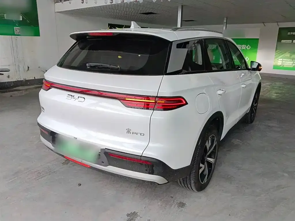 BYD Pro New Energy 2024 из CN, фото 7