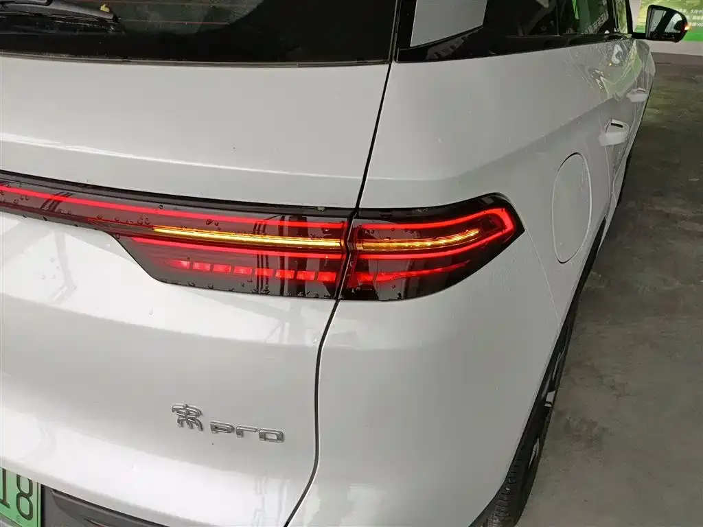 BYD Pro New Energy 2024 из CN, фото 8