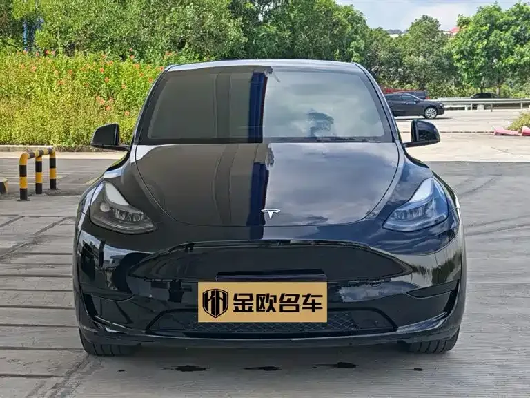 Tesla Model Y — фото 2