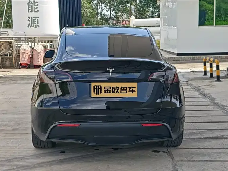 Tesla Model Y — фото 4