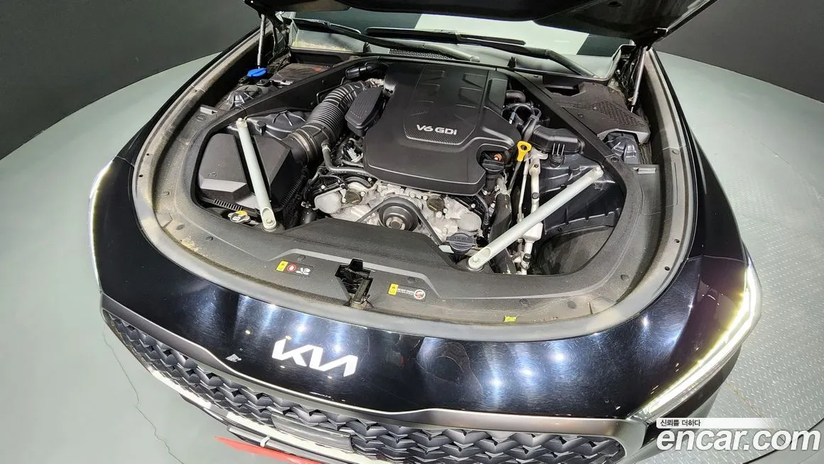 [object Object] K9 2022 из KR, фото 6