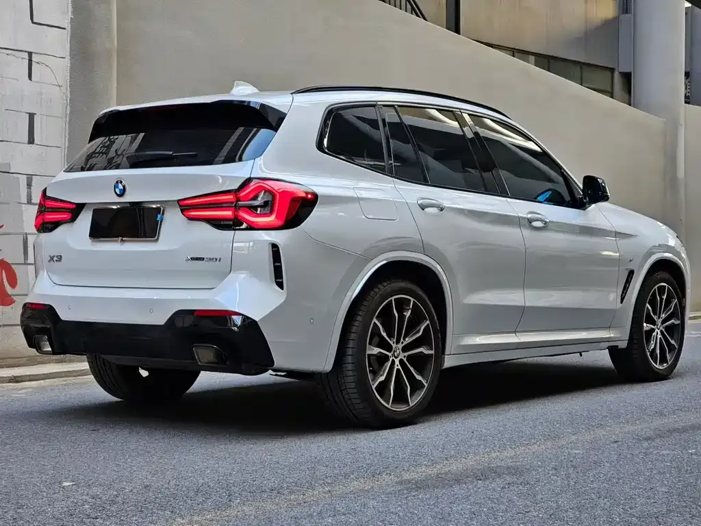 BMW X3 2024 из CN, фото 6