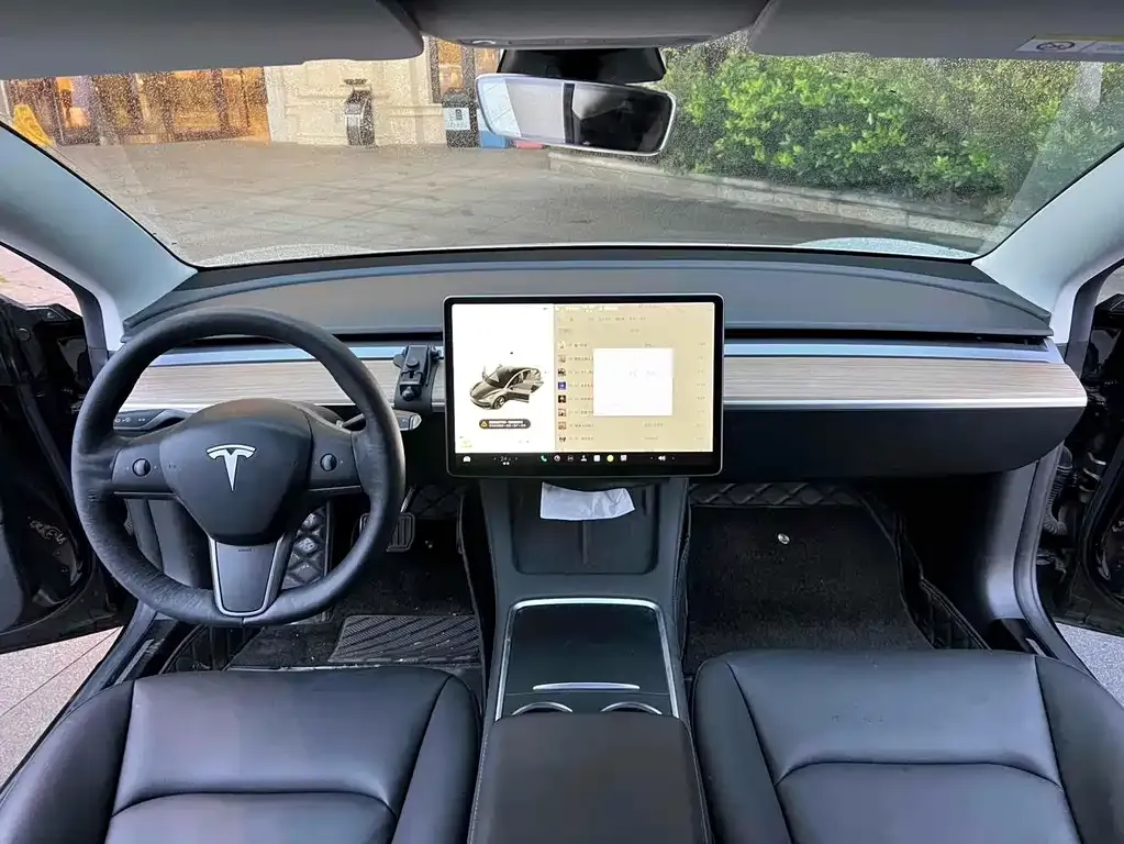 Tesla Model 3 2021 из CN, фото 5