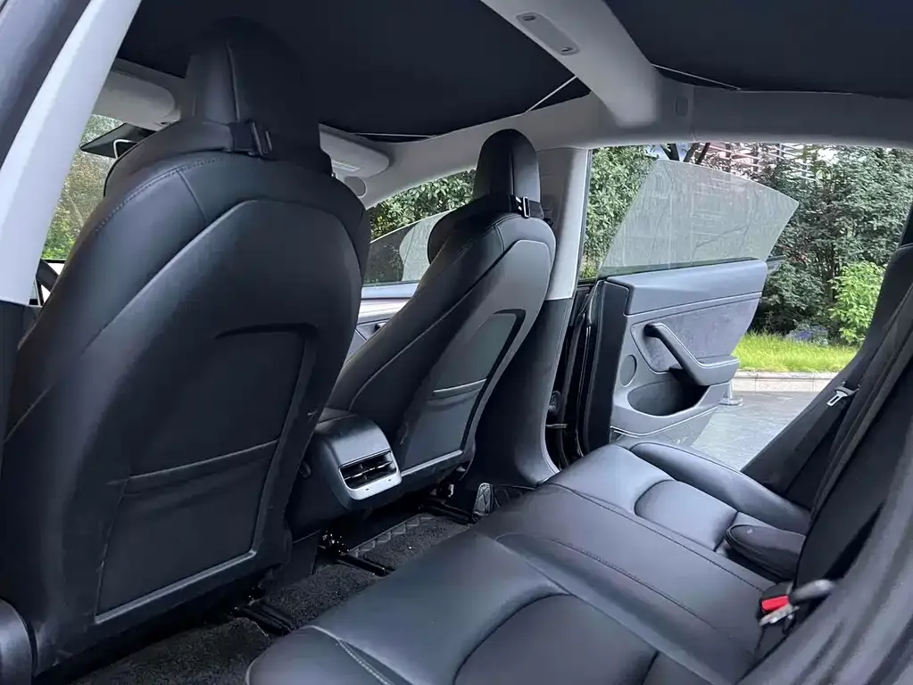 Tesla Model 3 2021 из CN, фото 6