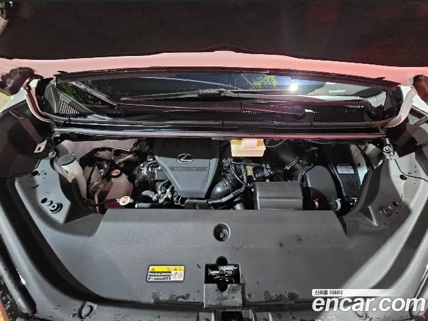 Lexus LM 2025 из KR, фото 6