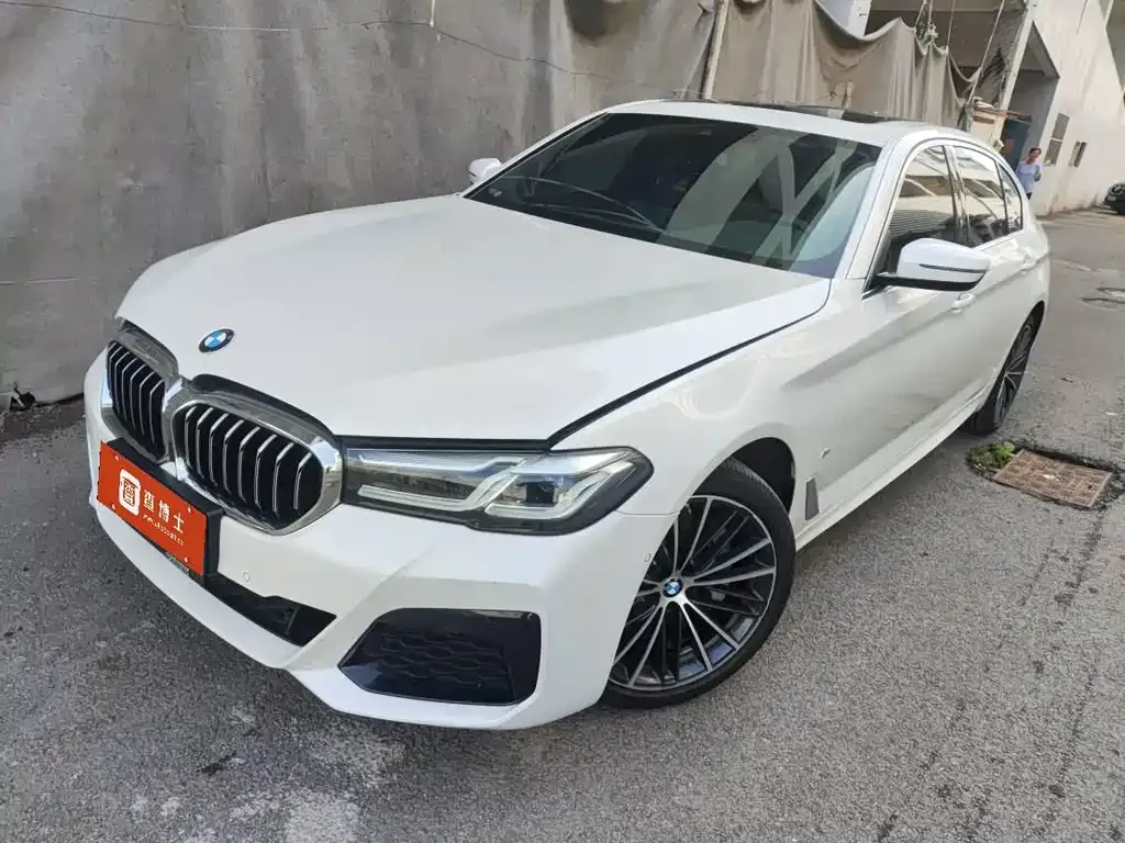 BMW 5 Series 2022 из CN, фото 1