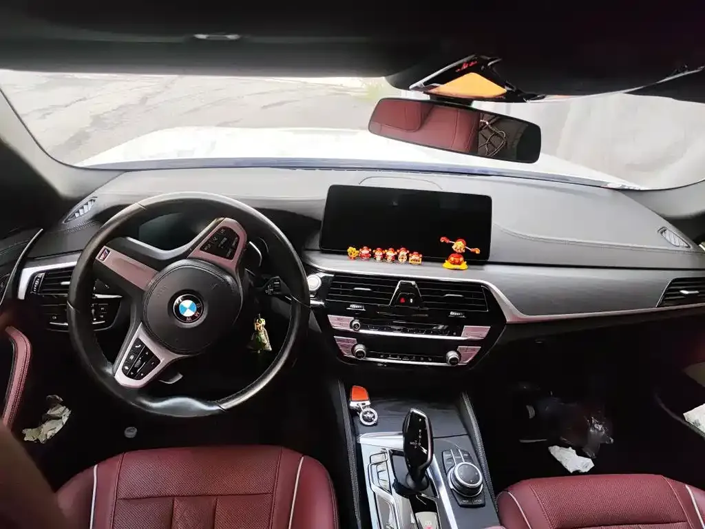 BMW 5 Series 2022 из CN, фото 4