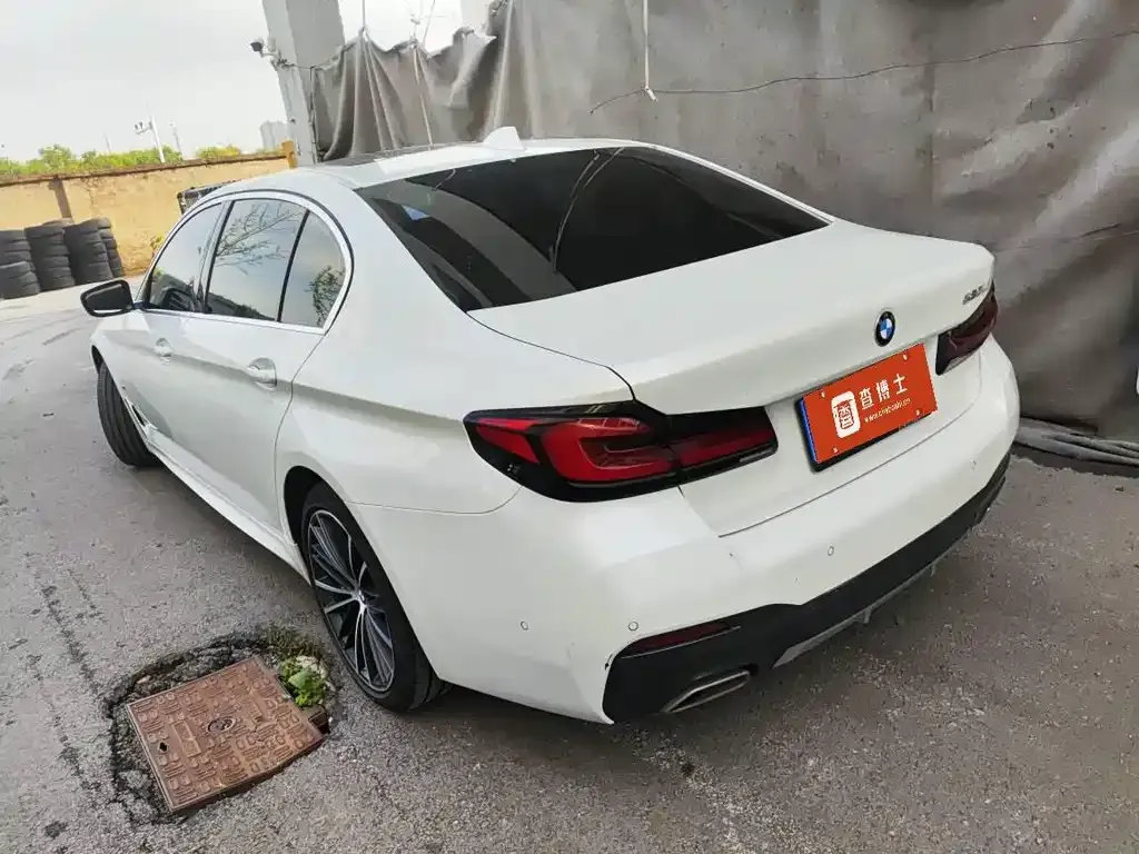 BMW 5 Series 2022 из CN, фото 7