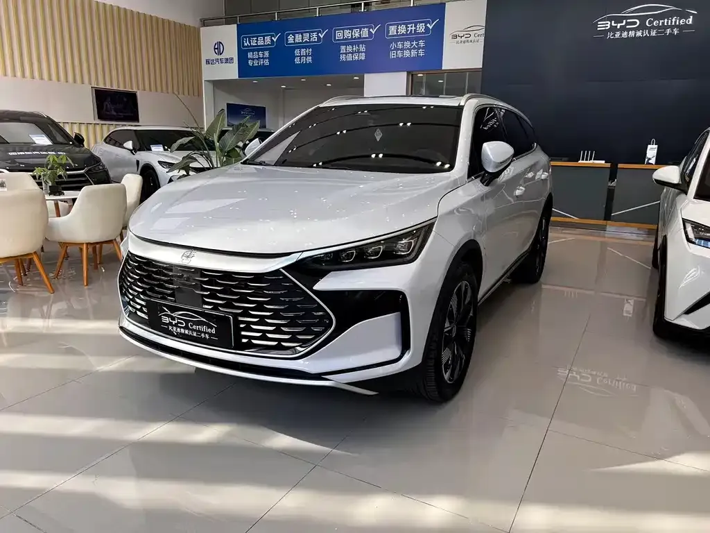 BYD Tang New Energy 2024 из CN, фото 1