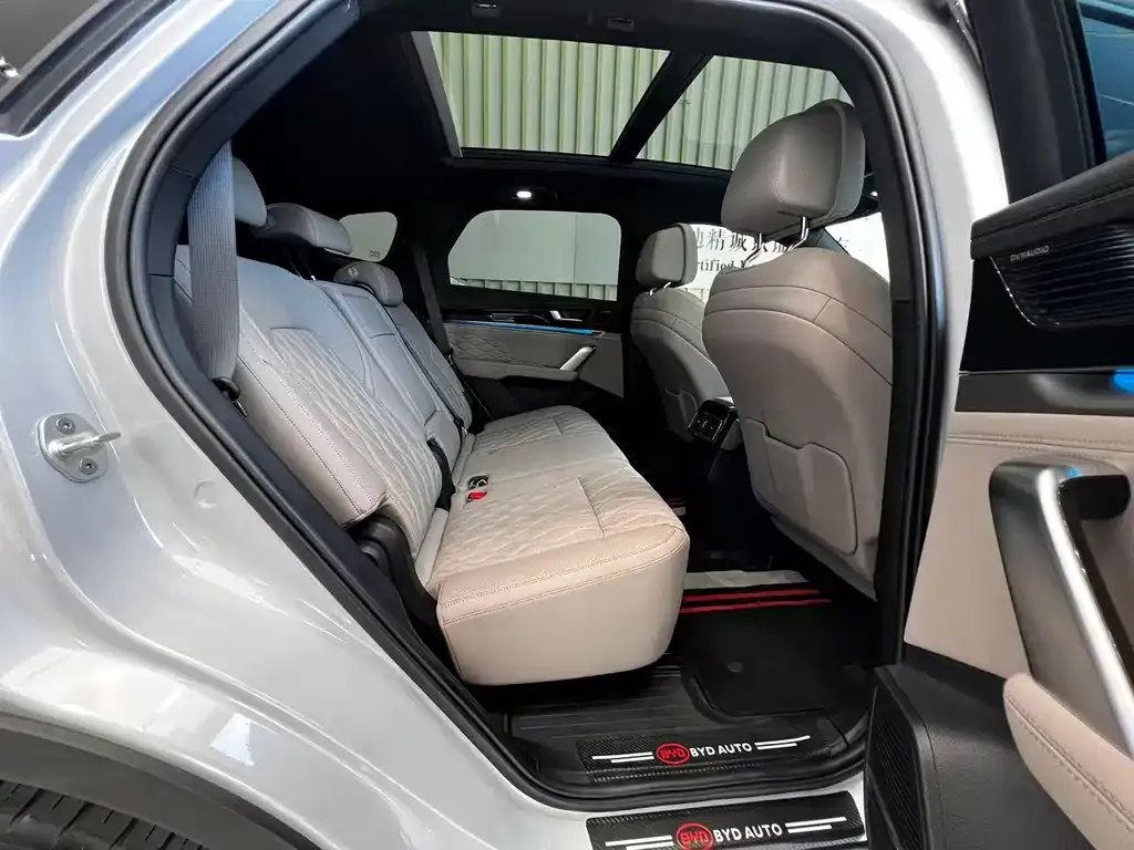 BYD Tang New Energy 2024 из CN, фото 10