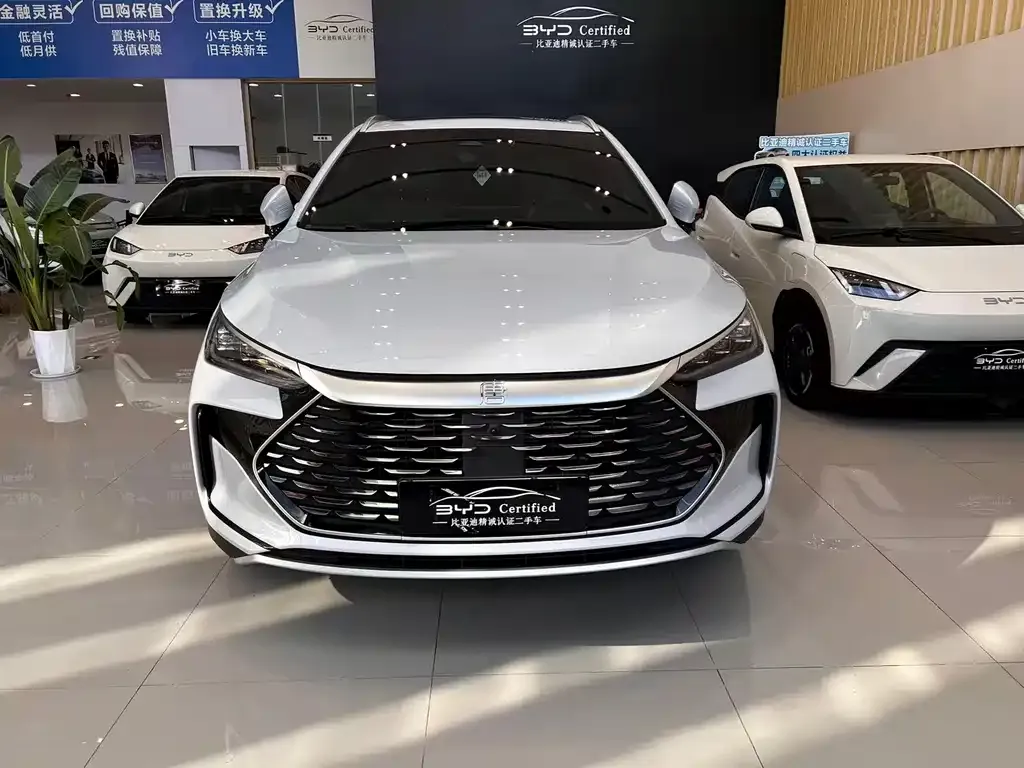 BYD Tang New Energy 2024 из CN, фото 2