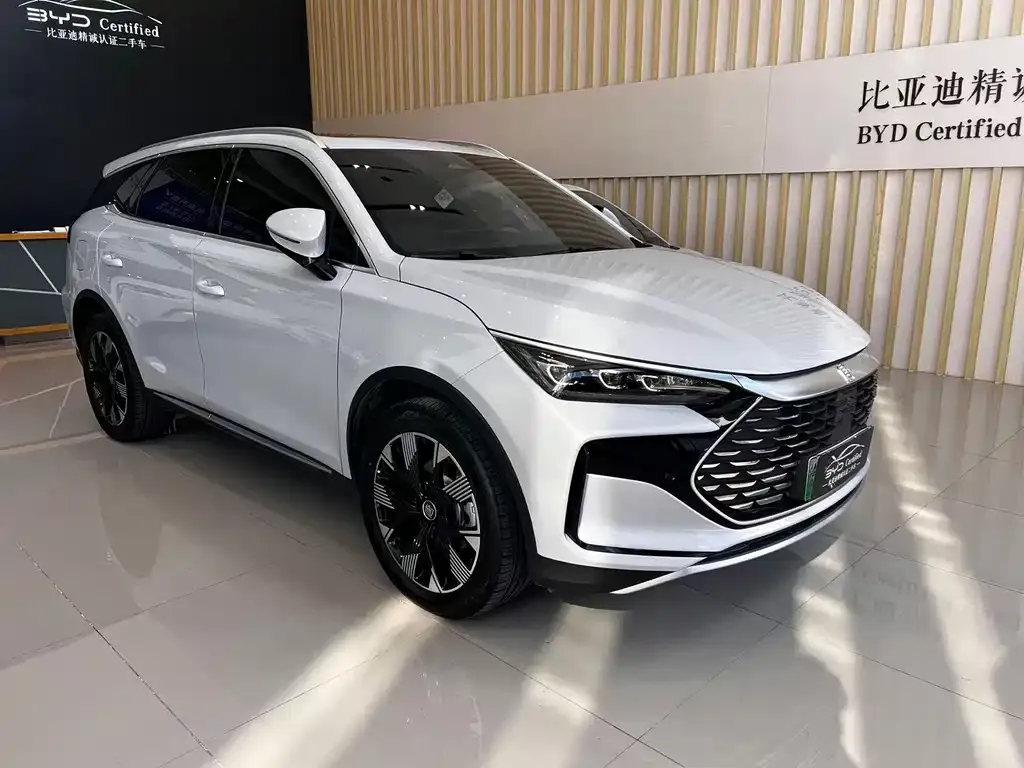 BYD Tang New Energy 2024 из CN, фото 3
