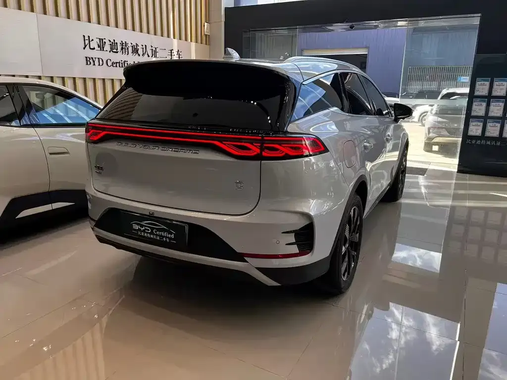 BYD Tang New Energy 2024 из CN, фото 4