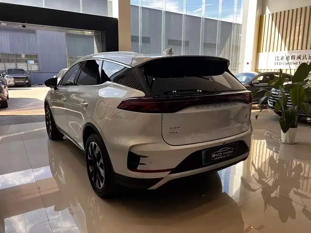 BYD Tang New Energy 2024 из CN, фото 6