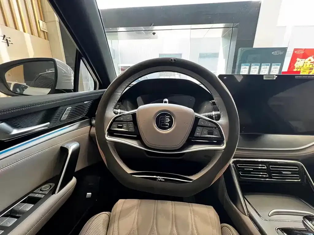 BYD Tang New Energy 2024 из CN, фото 9