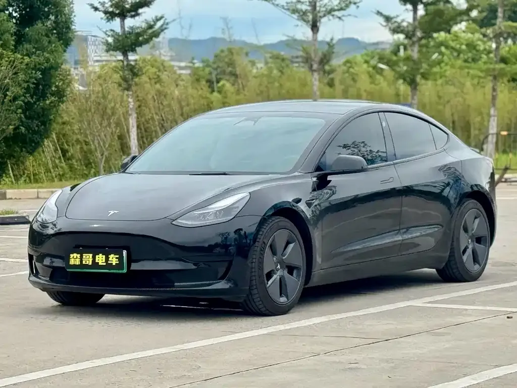 Tesla Model 3 2023 из CN, фото 1