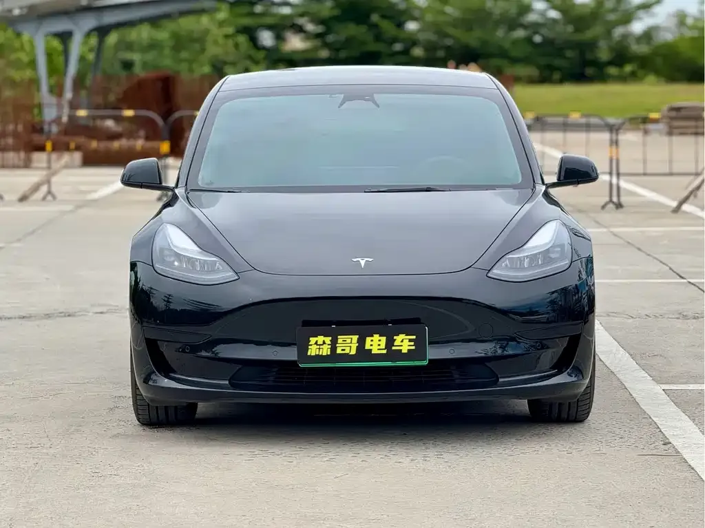 Tesla Model 3 2023 из CN, фото 2